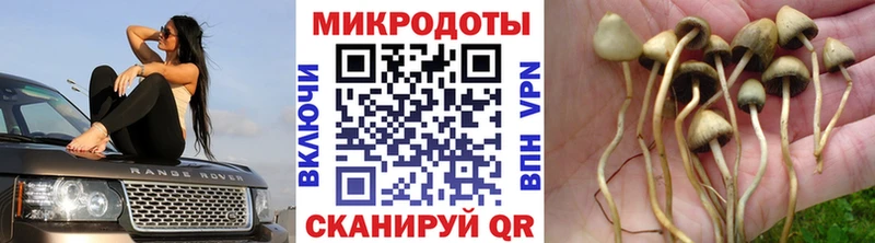 OMG ссылка  Лодейное Поле  Галлюциногенные грибы прущие грибы  где можно купить наркотик 