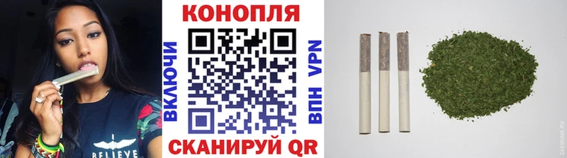 где купить наркотик Лодейное Поле Бошки марихуана MAZAR